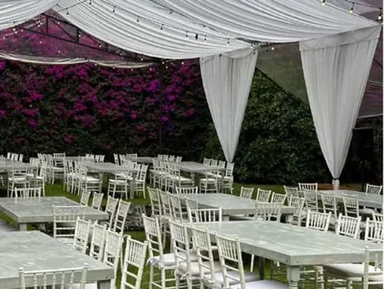 Carpas elegantes